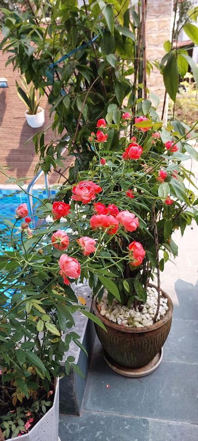 Riverlife Homestay Hoi An Luaran gambar